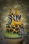 Ihsaan 1st Birthday