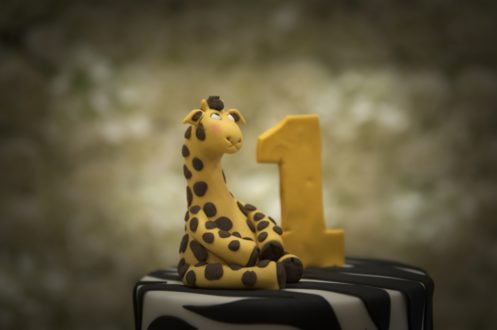 Ihsaan 1st Birthday