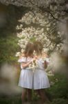 Spring is here - The Photo House Family Photoshoot