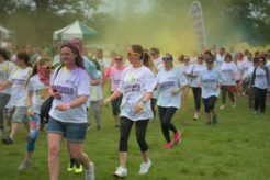 Watford Colour Run 2019 - Aldenham Country Park